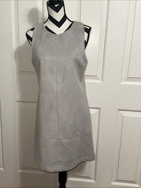 Waverly Grey Sleeveless Light Gray Mini Dress